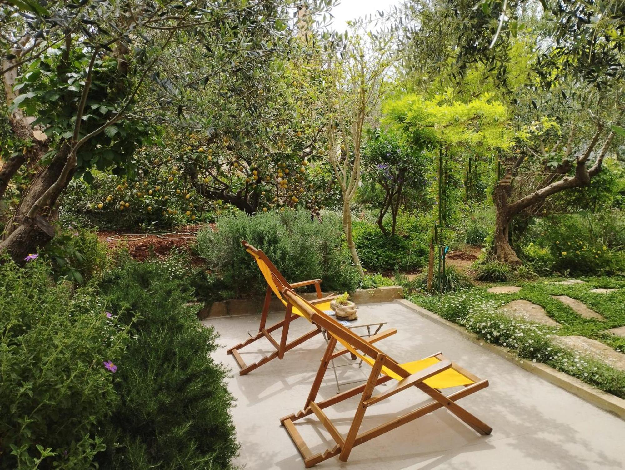 Olive Lemon Biophilic House & Lush Forest Garden Vamos Room photo